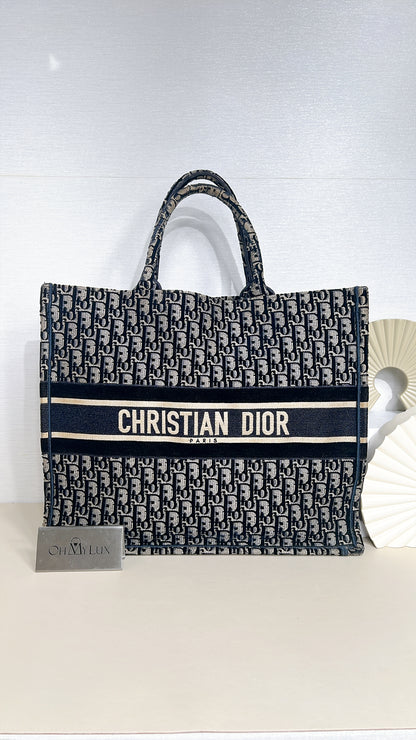 Dior Large Book Tote in Blue in Embroidered Velvet
