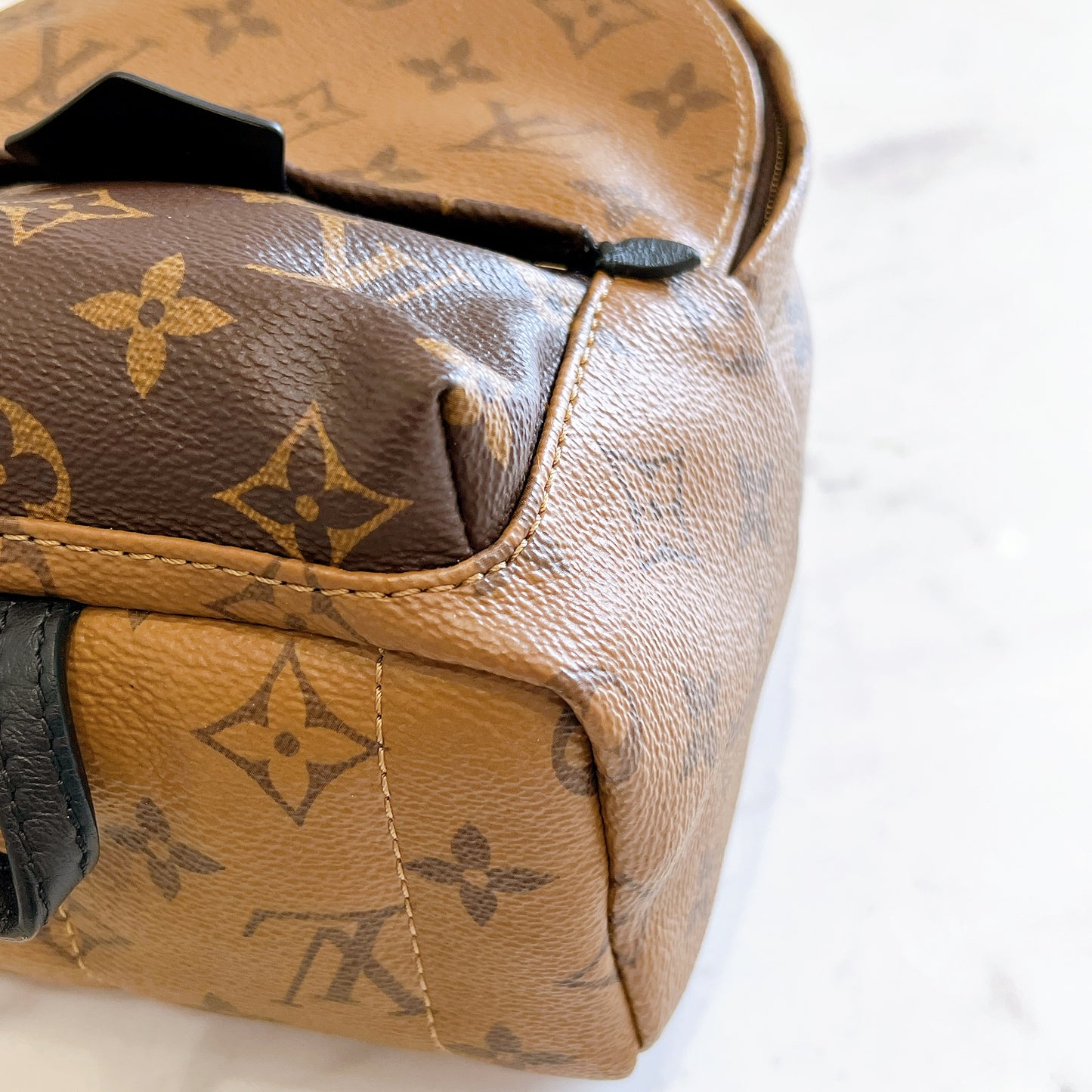 LV Palm Spring Mini in Reverse Monogram