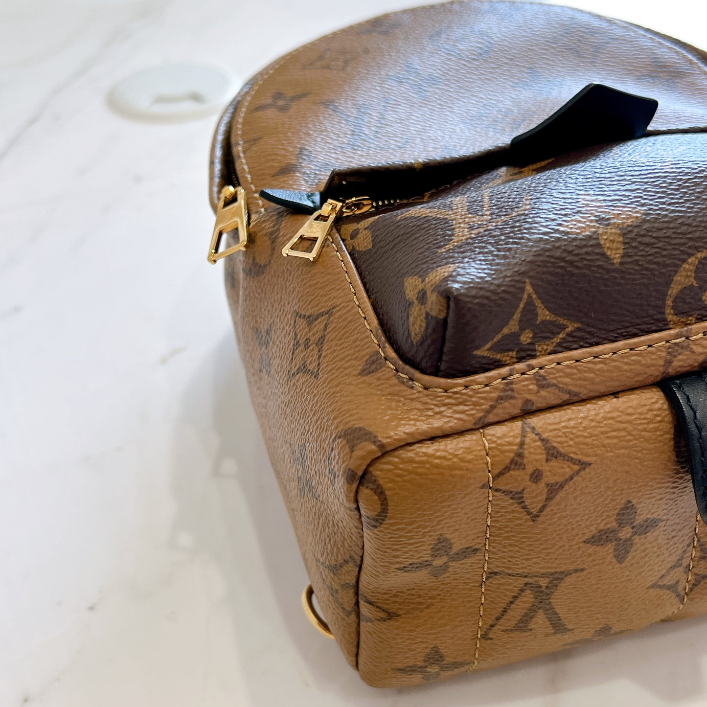 LV Palm Spring Mini in Reverse Monogram