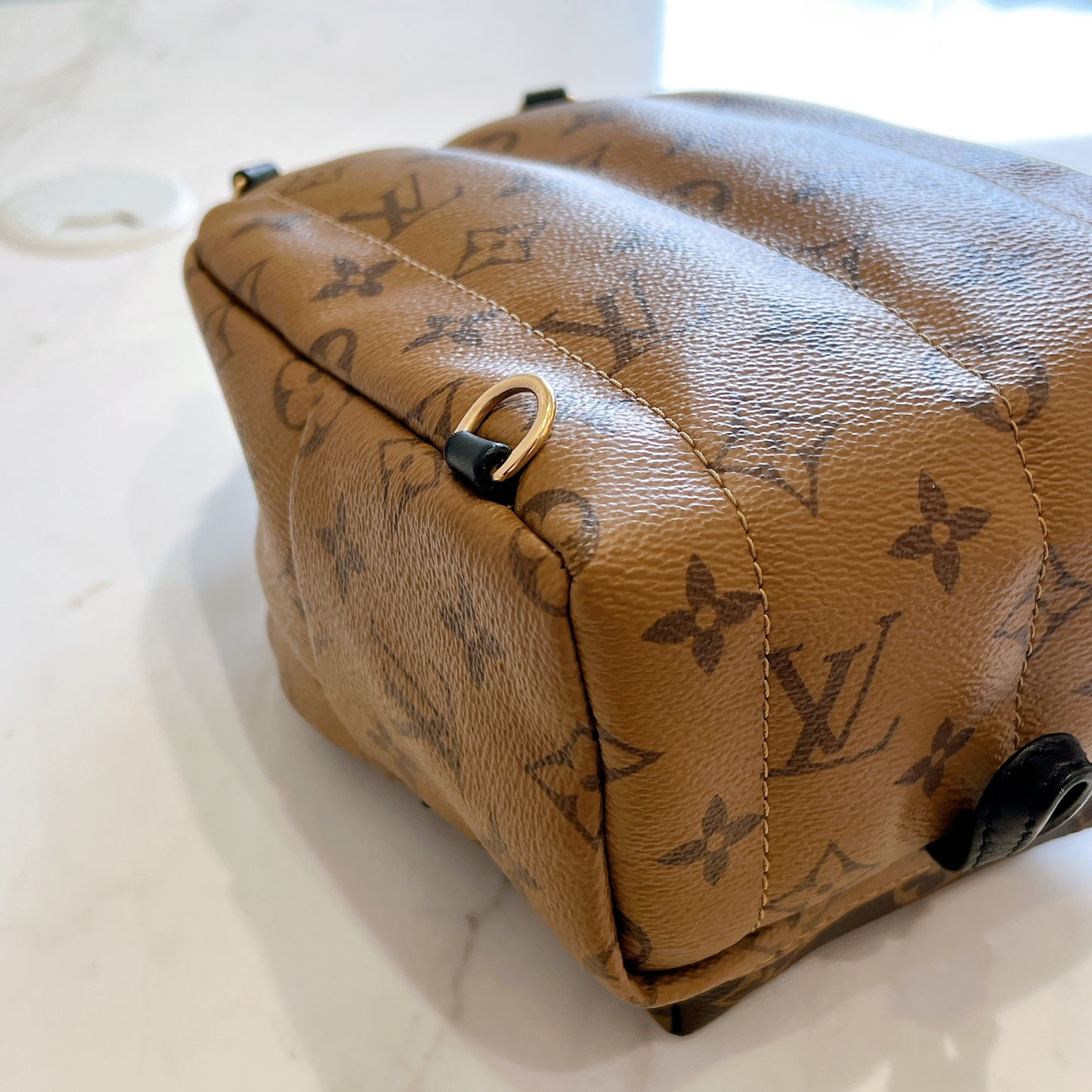 LV Palm Spring Mini in Reverse Monogram