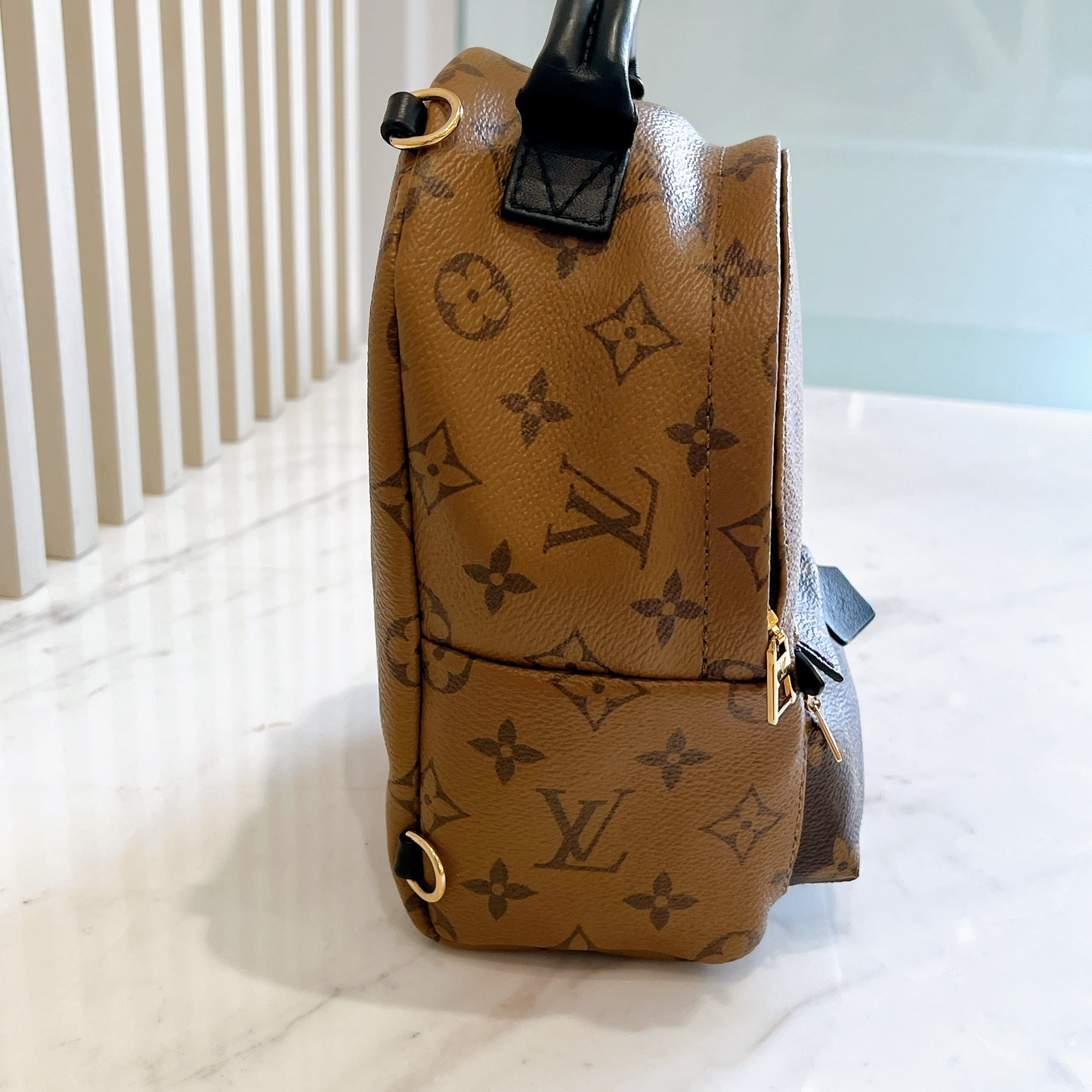 LV Palm Spring Mini in Reverse Monogram