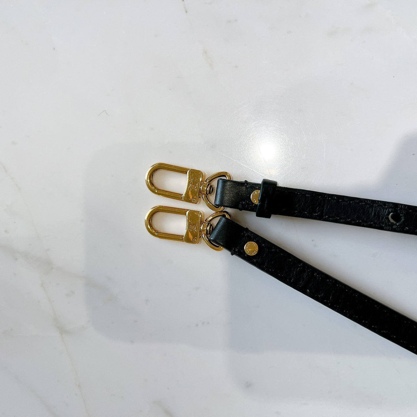 LV Palm Spring Mini in Reverse Monogram