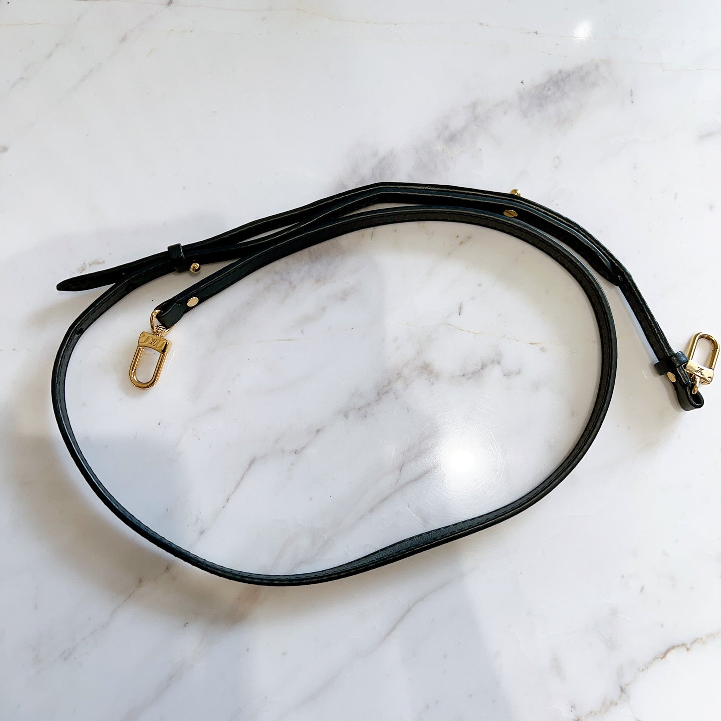 LV Palm Spring Mini in Reverse Monogram