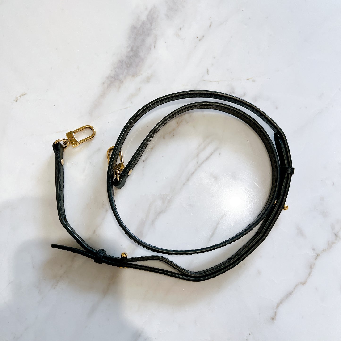 LV Palm Spring Mini in Reverse Monogram