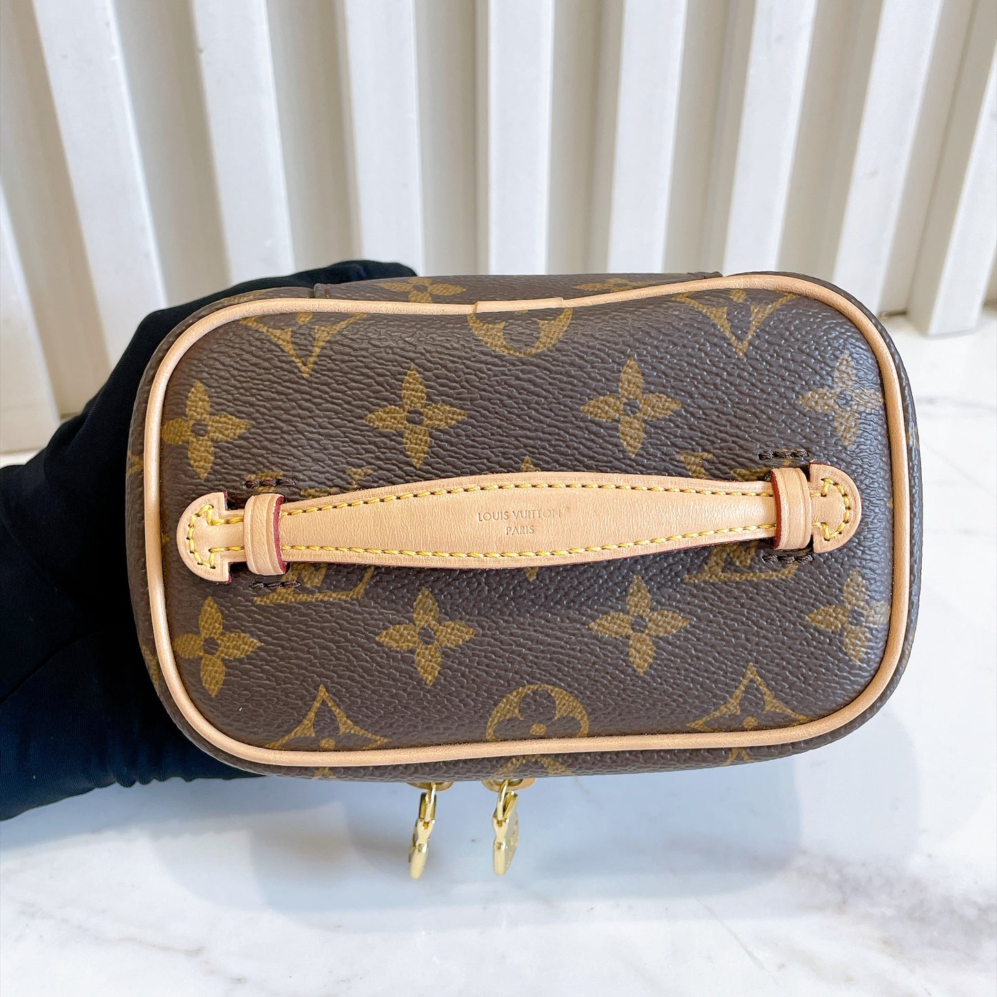 LV Monogram Nano Nice