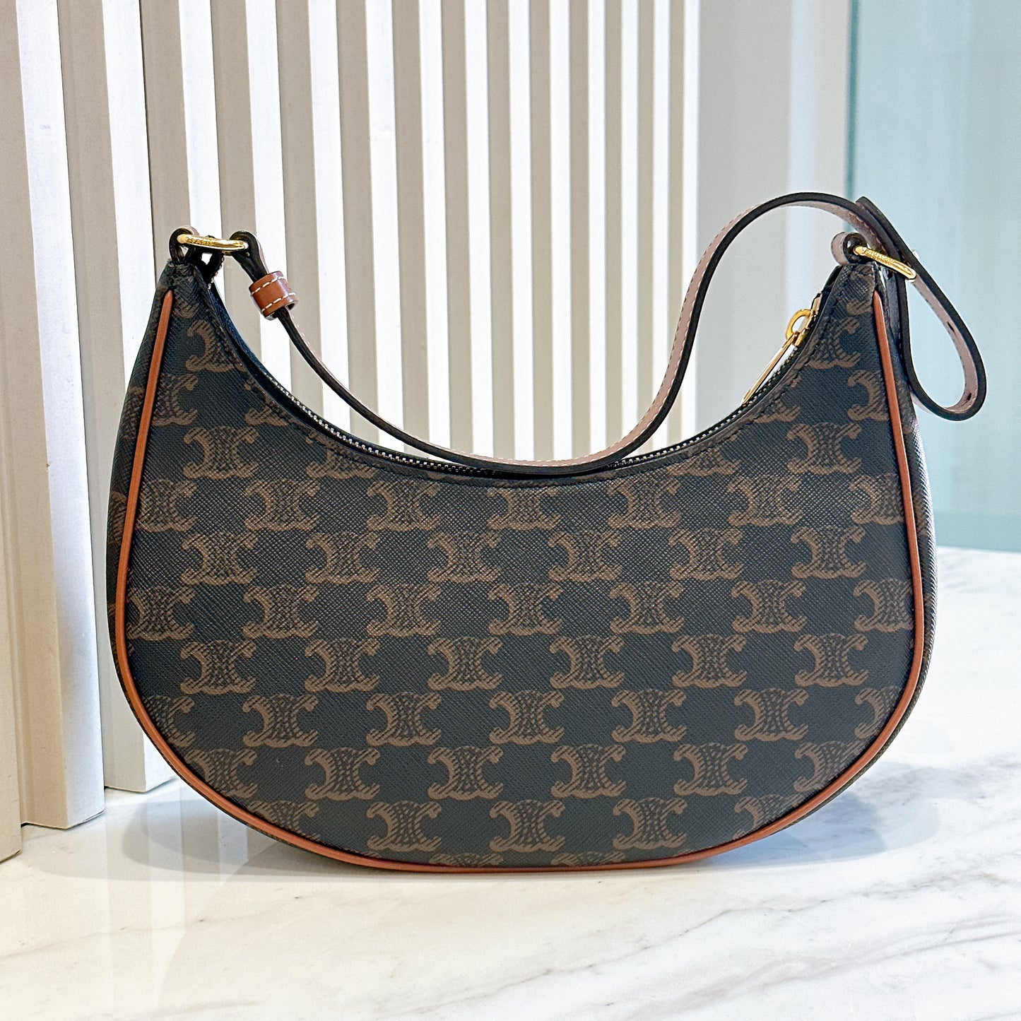 Celine Ava in Tan Triomphe Canvas
