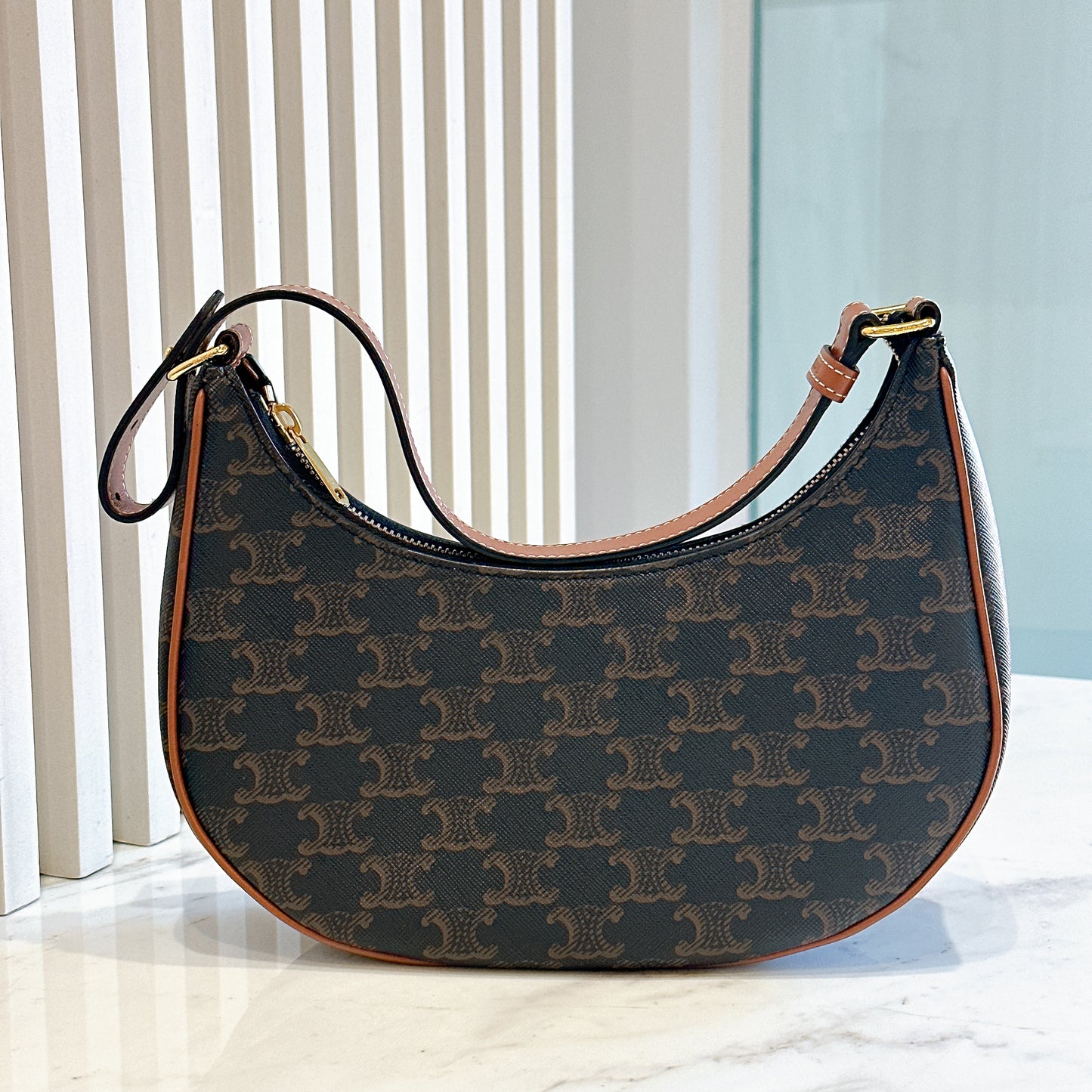Celine Ava in Tan Triomphe Canvas