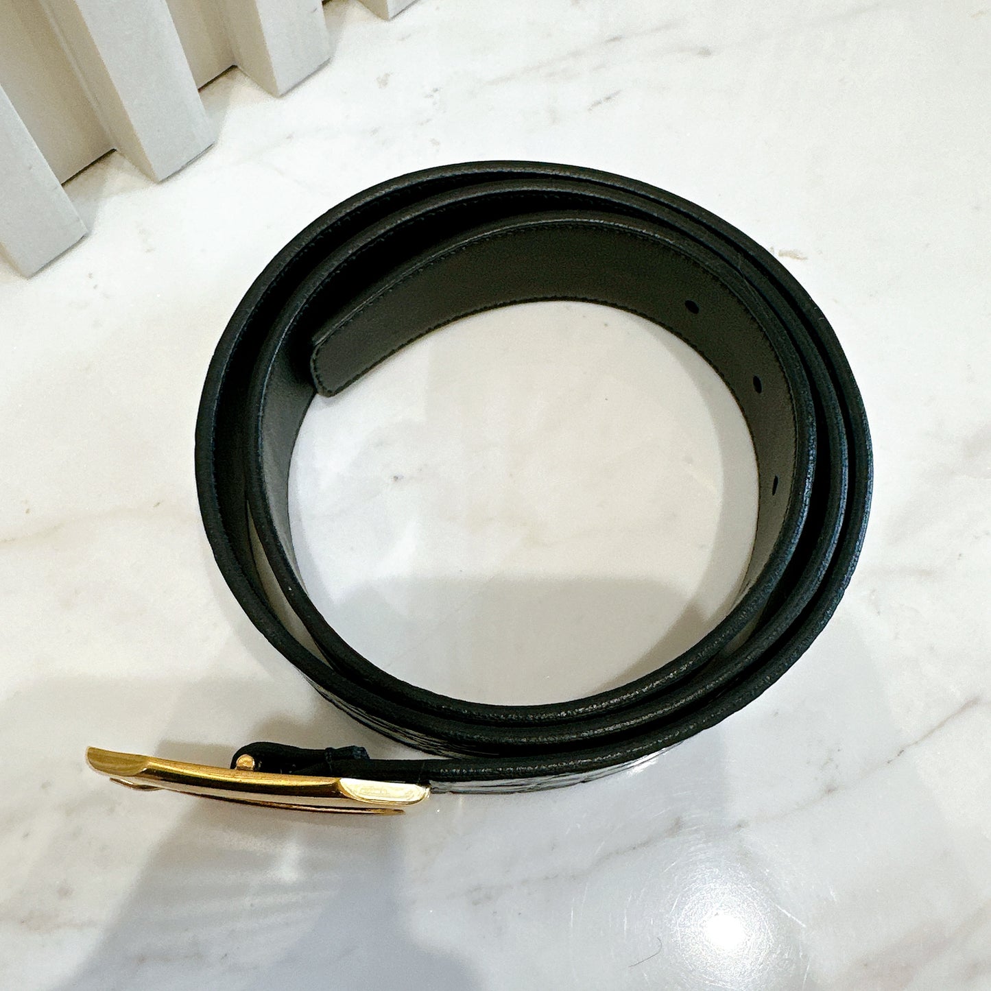 YSL Crocodiler Embossed Belt in Black