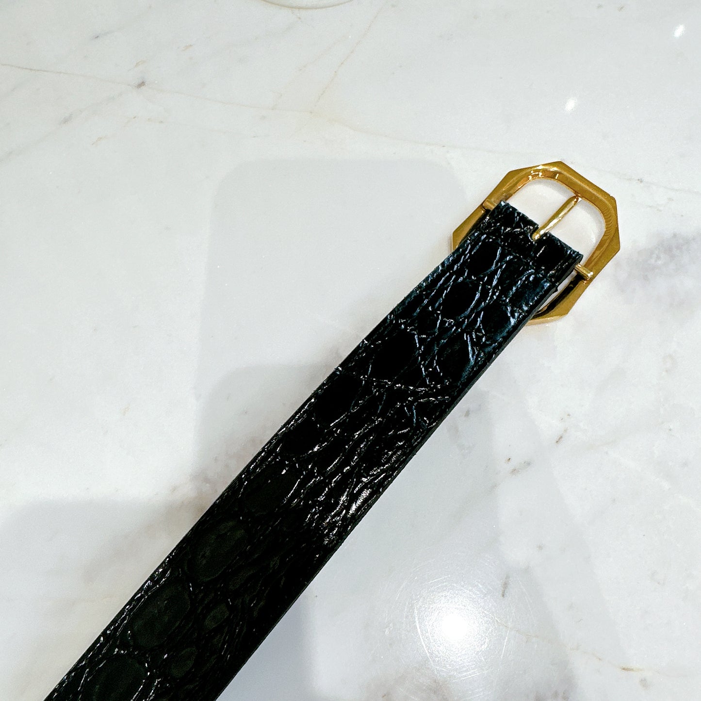 YSL Crocodiler Embossed Belt in Black