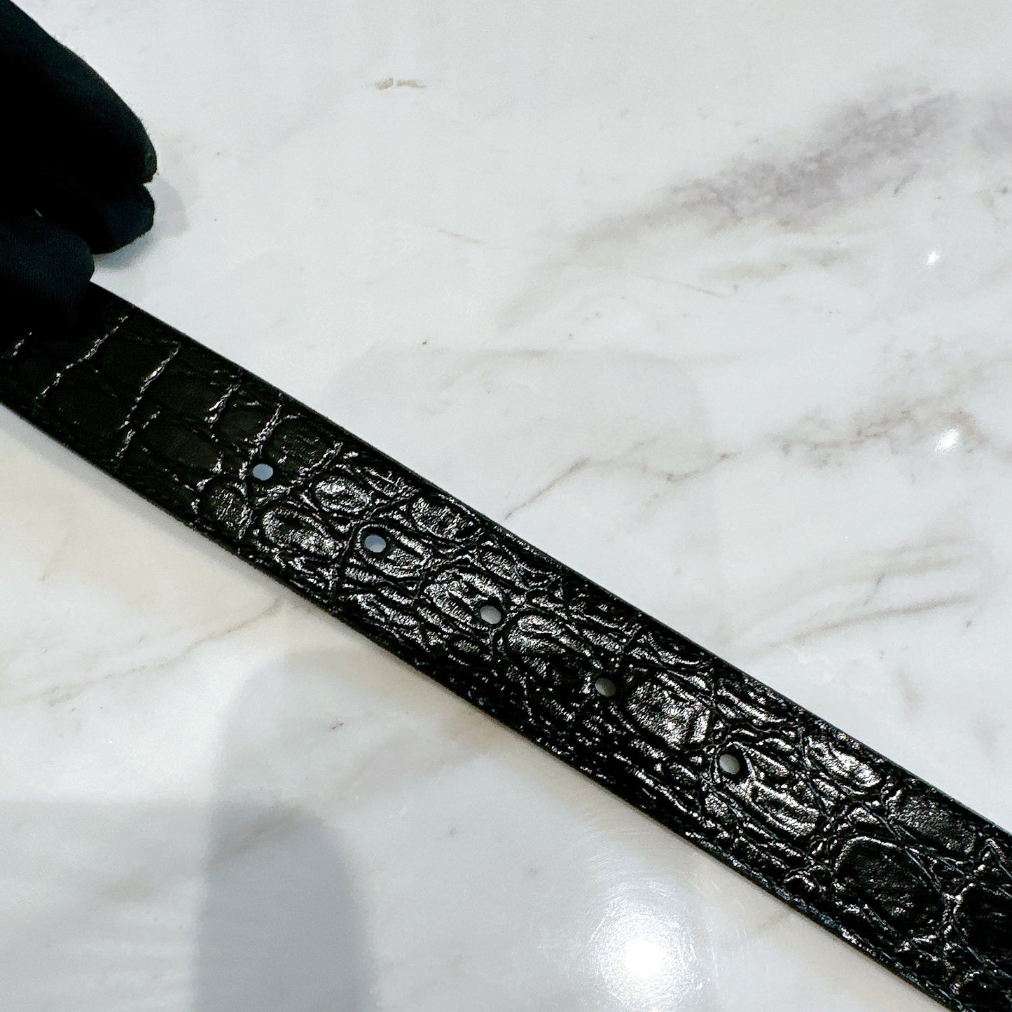 YSL Crocodiler Embossed Belt in Black