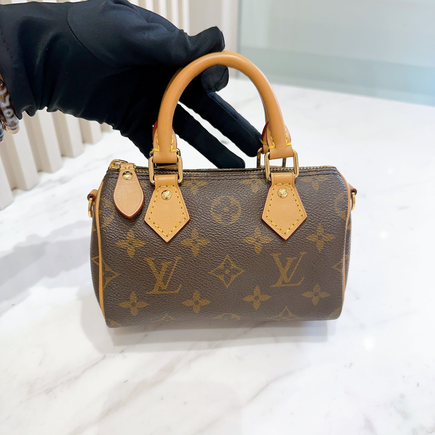 LV Monogram Nano Speedy