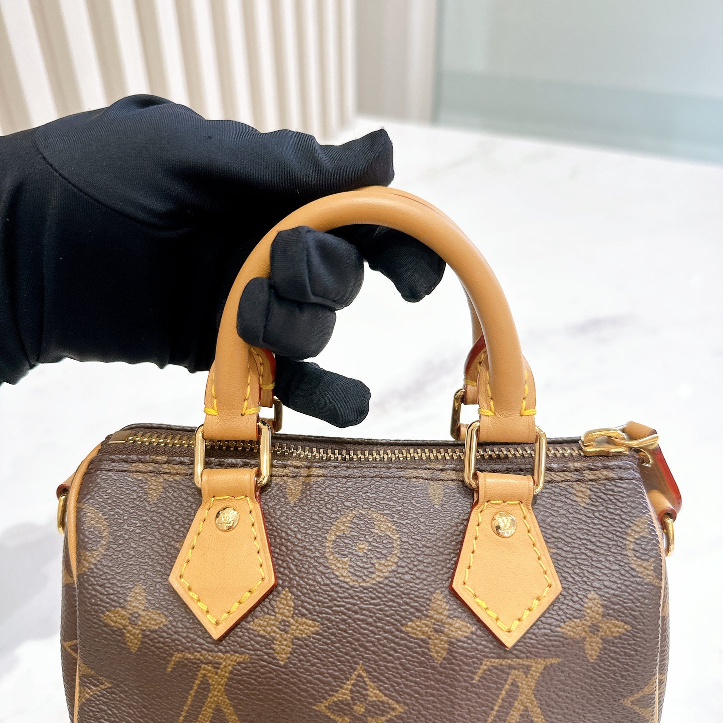 LV Monogram Nano Speedy
