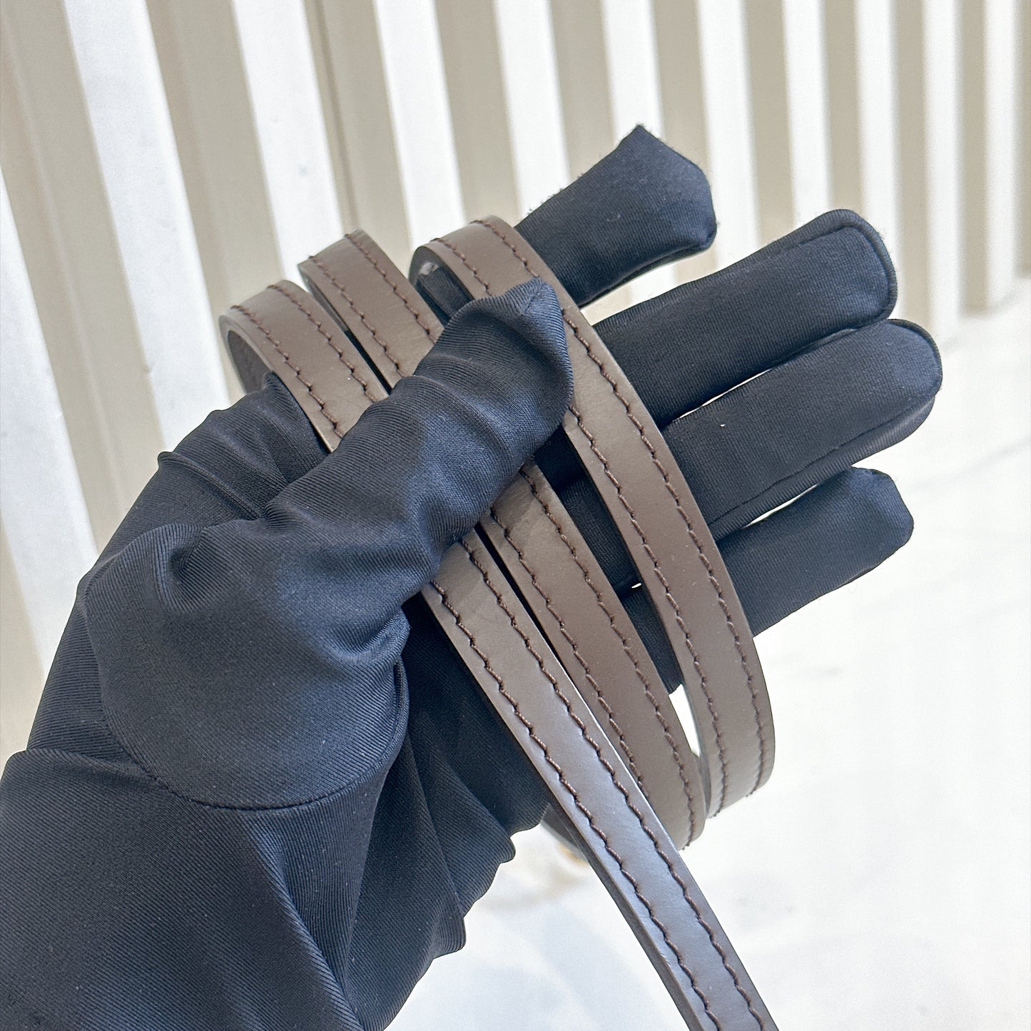LV Damier Ebene Alma BB
