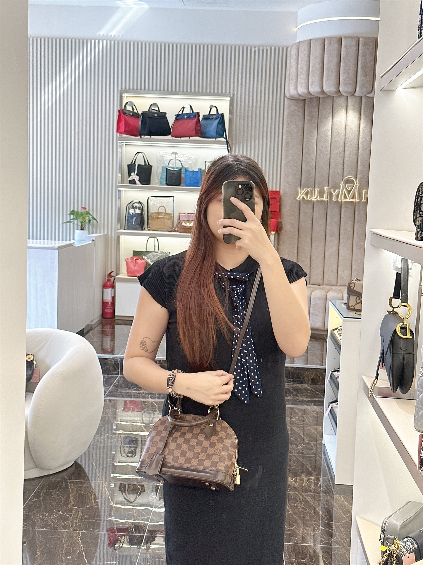 LV Damier Ebene Alma BB