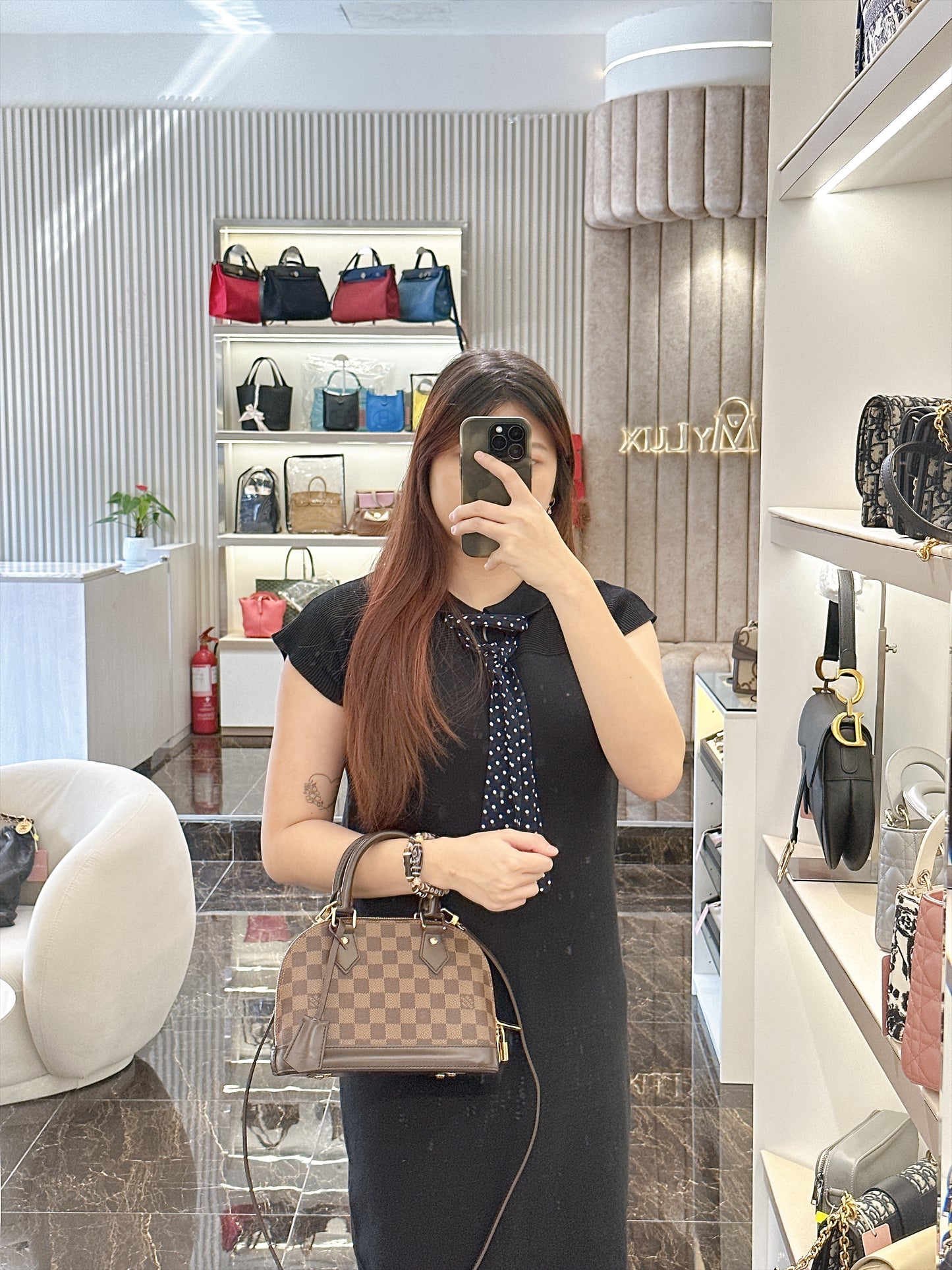 LV Damier Ebene Alma BB