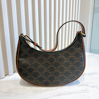 Celine Ava in Triomphe Canvas