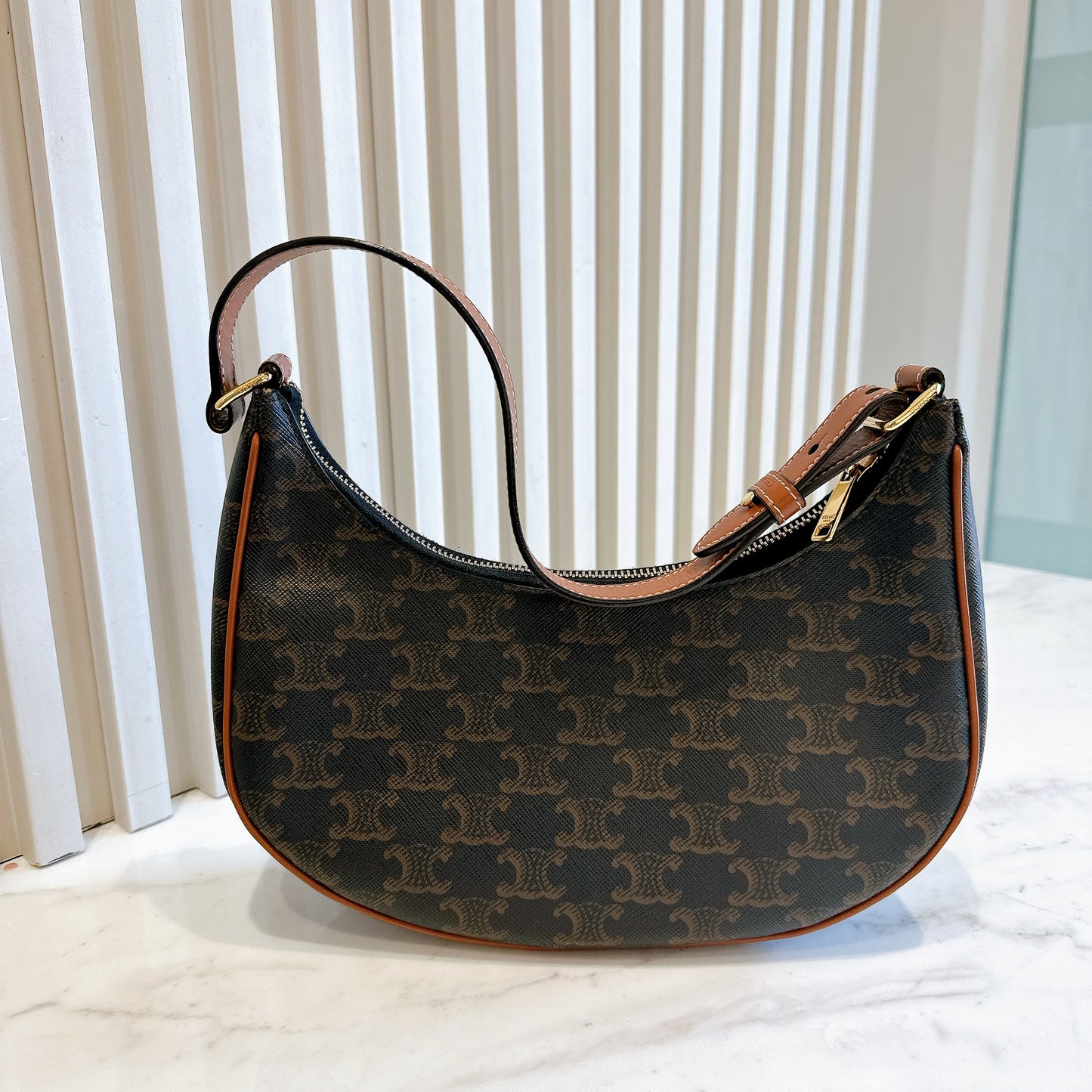 Celine Ava in Triomphe Canvas