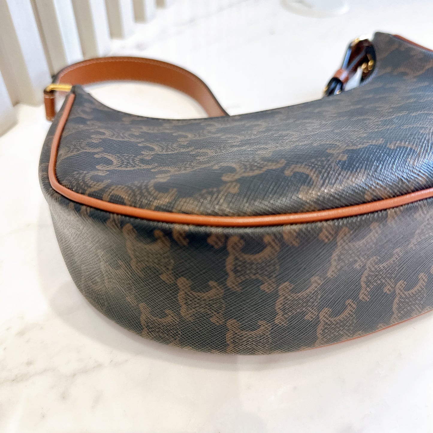 Celine Ava in Triomphe Canvas