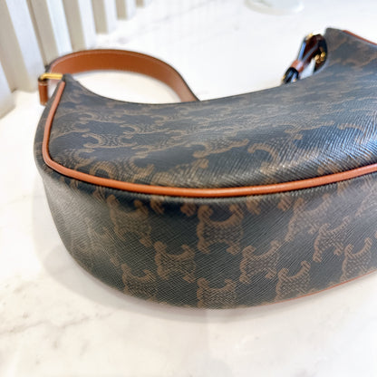 Celine Ava in Triomphe Canvas