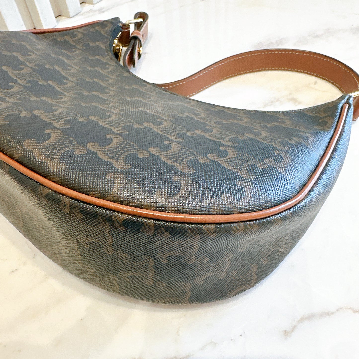 Celine Ava in Triomphe Canvas