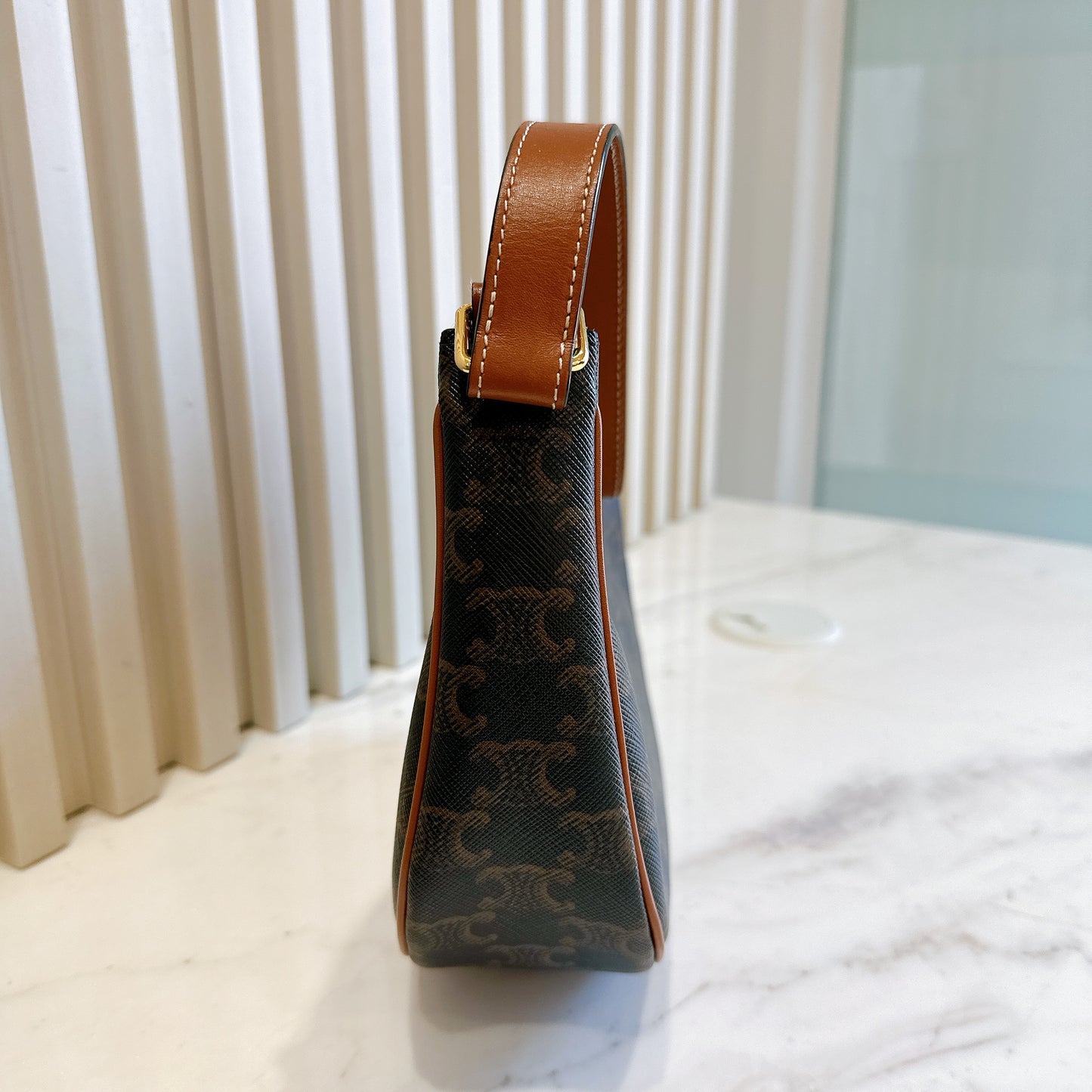 Celine Ava in Triomphe Canvas