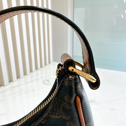 Celine Ava in Triomphe Canvas
