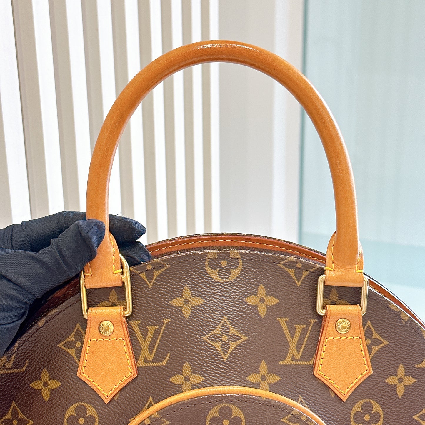 LV Monogram Ellipse PM