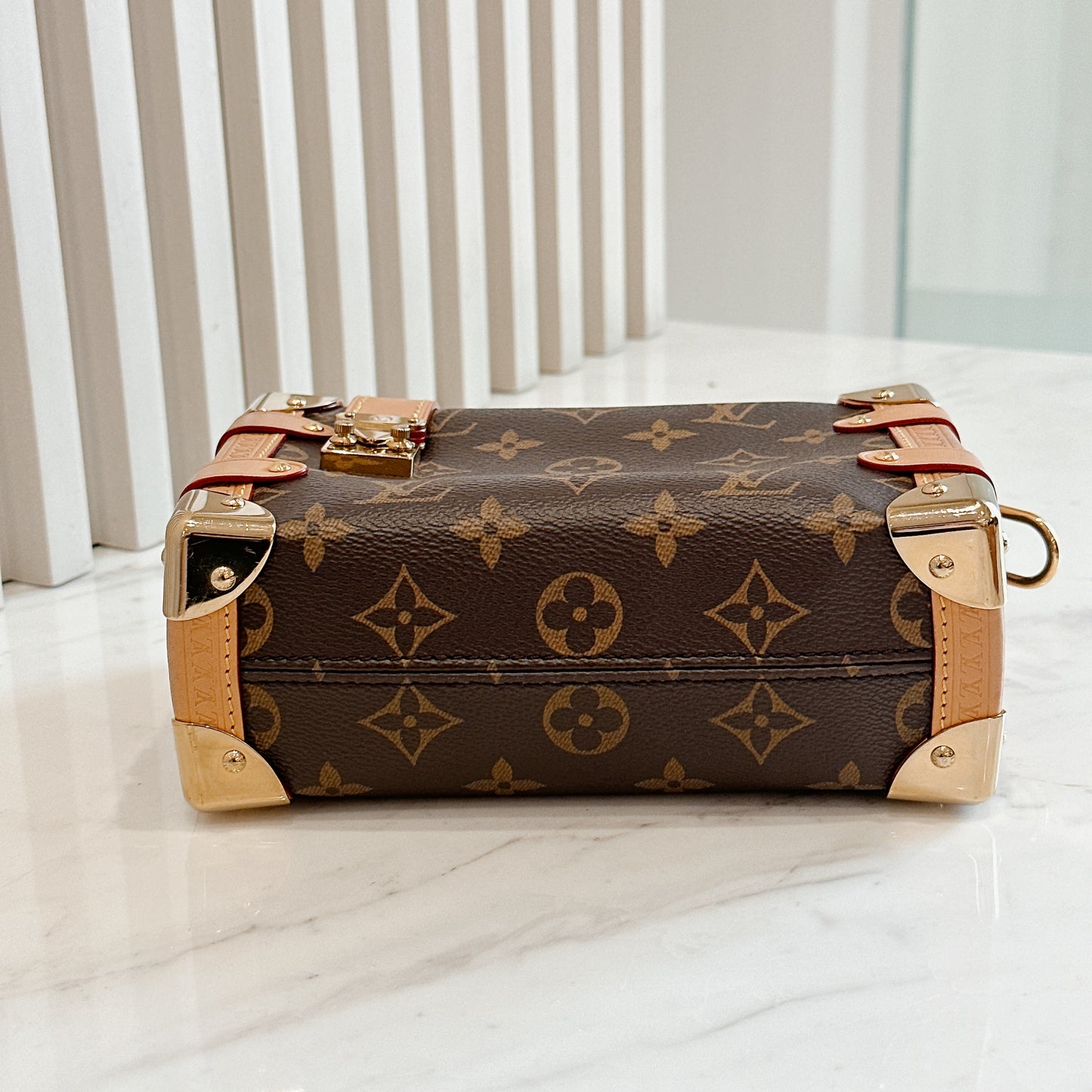 LV Monogram Side Trunk PM