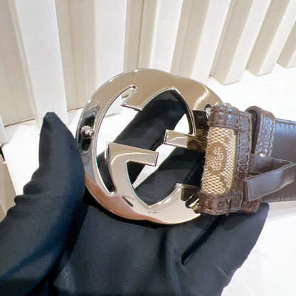 Gucci Brown Monogram Canvas Belt