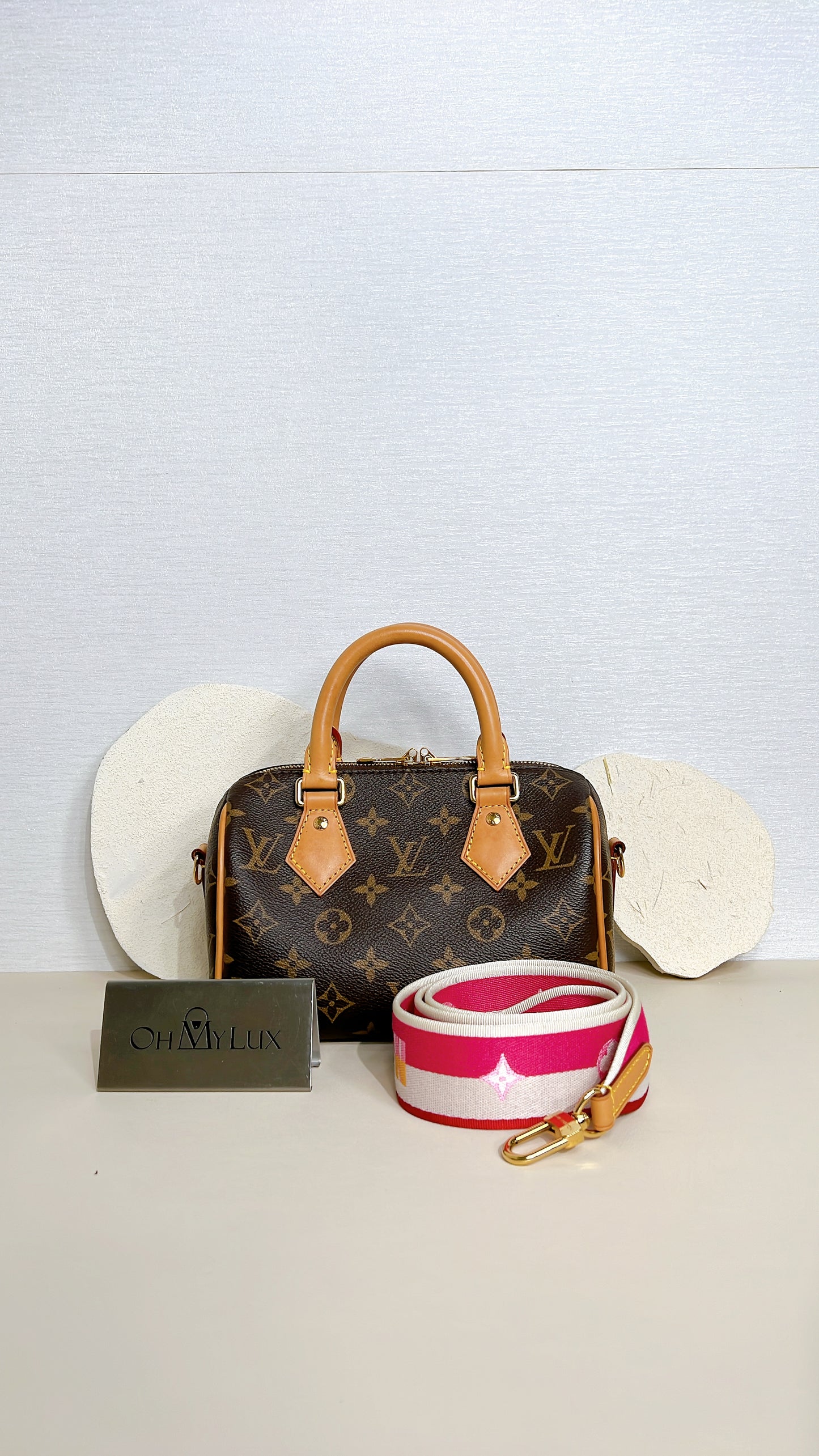 LV Monogram Speedy 20