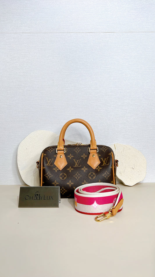 LV Monogram Speedy 20