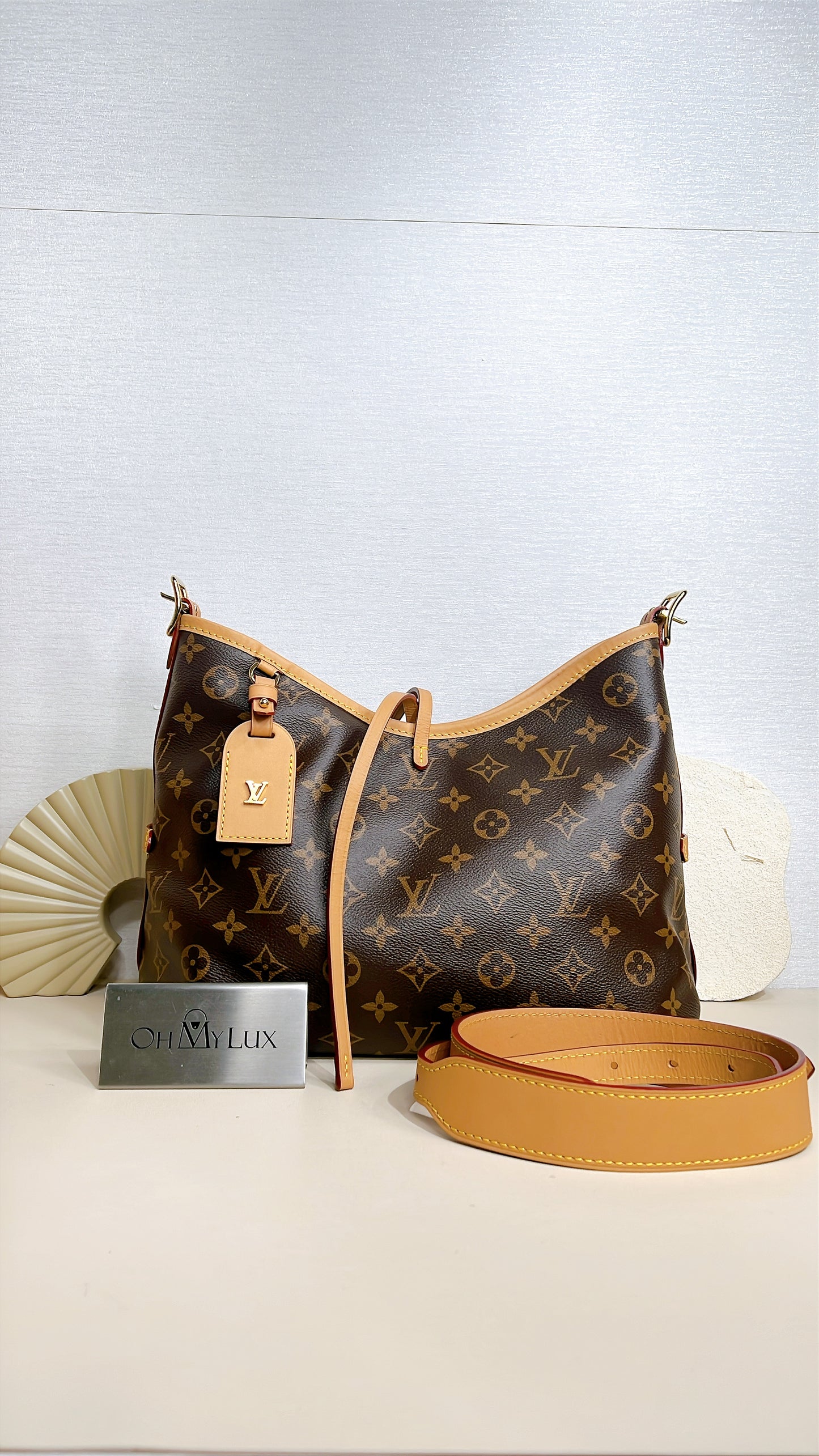 LV Monogram Carryall PM