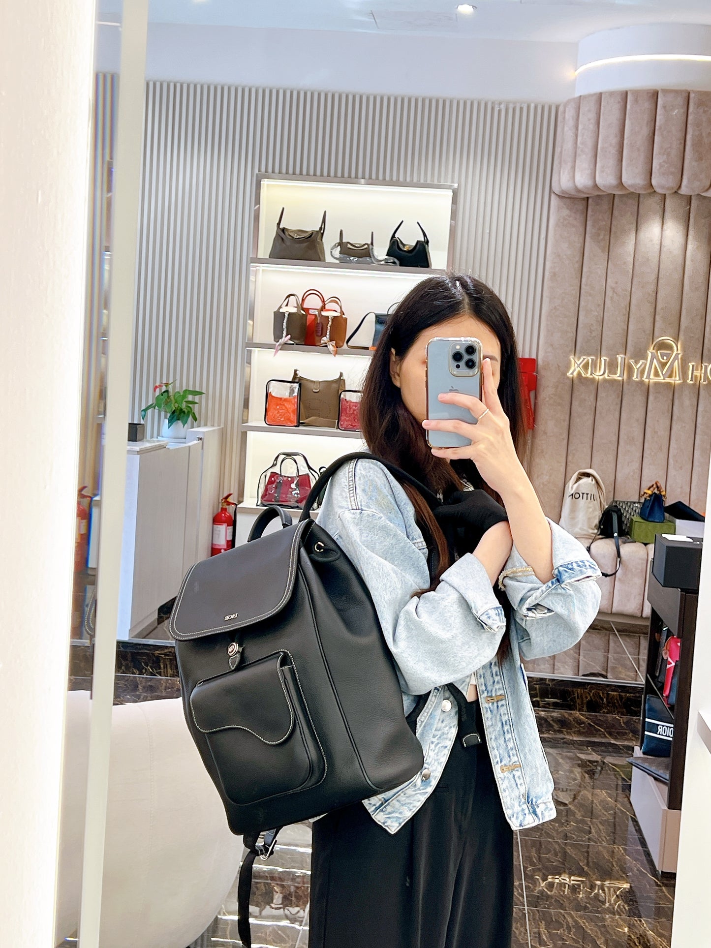 Dior Saddle Backpack in Black