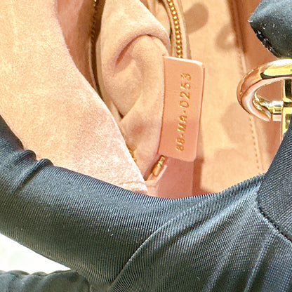 Mini Lady Dior in Pink GHW